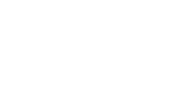 VYANORA Premium Handmade Botanical Skincare Brand Logo